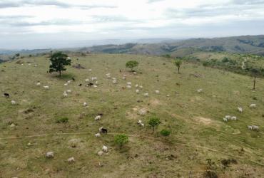 FAZENDA ALAGOAS E CAIXETA