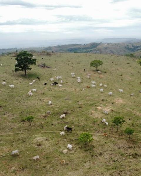 WhatsApp Image 2026-02-03 at 12