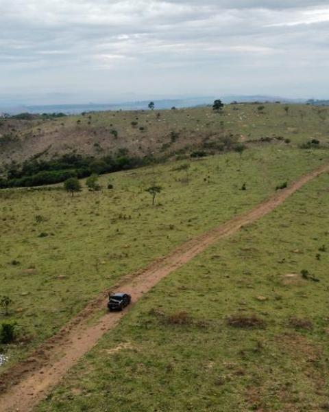 WhatsApp Image 2026-02-03 at 12