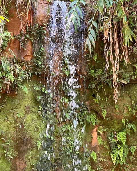 WhatsApp Image 2025-11-02 at 10