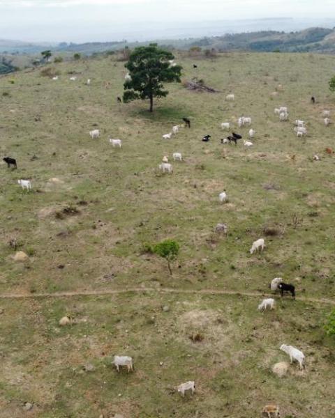 WhatsApp Image 2026-02-03 at 12