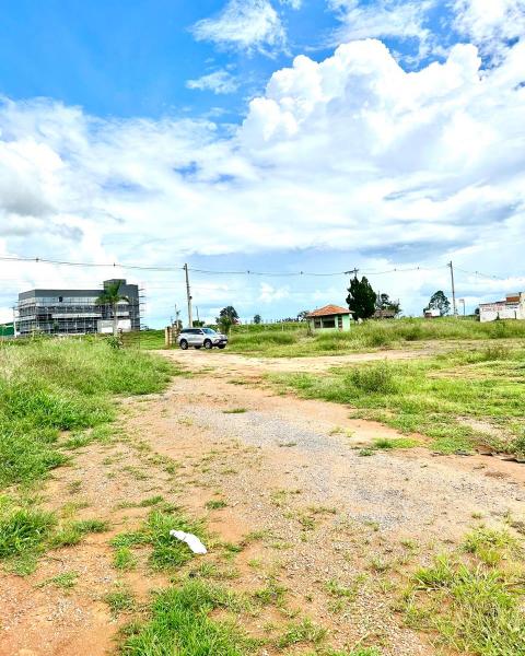 WhatsApp Image 2026-02-06 at 15