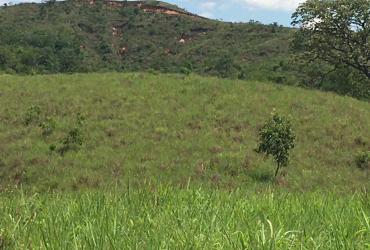 Fazenda município de Presidente Olegário