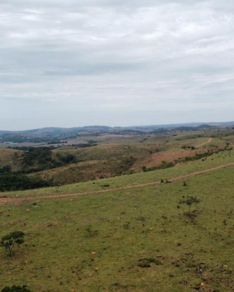 WhatsApp Image 2026-02-03 at 12