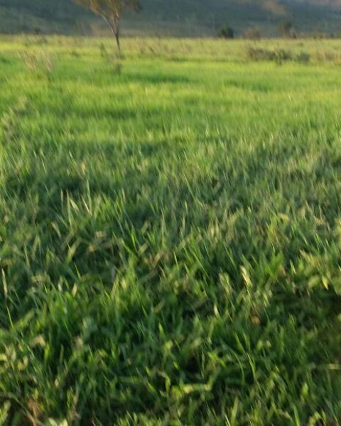 beefc8f8-86f5-46db-8ebf-53f5e56f376d