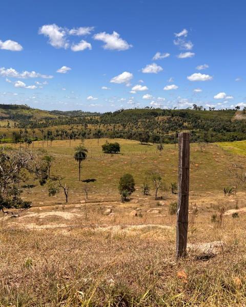 WhatsApp Image 2025-11-02 at 10