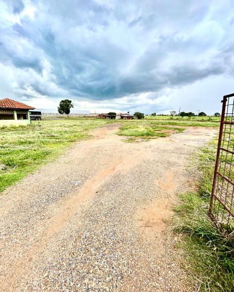 WhatsApp Image 2026-02-13 at 10