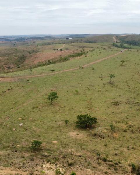 WhatsApp Image 2026-02-03 at 12