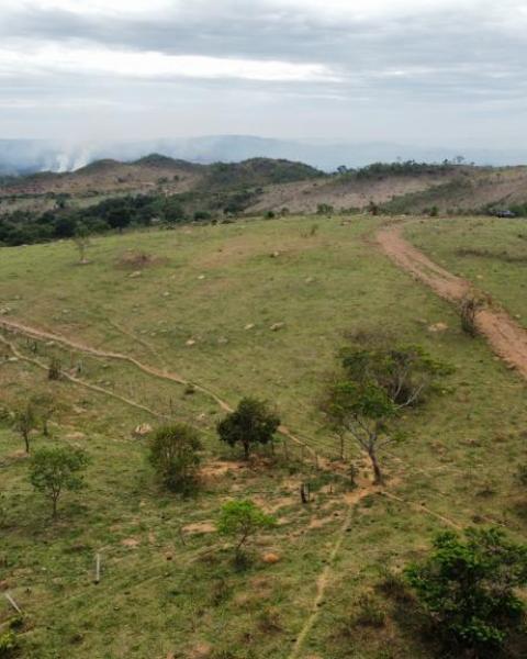 WhatsApp Image 2026-02-03 at 12