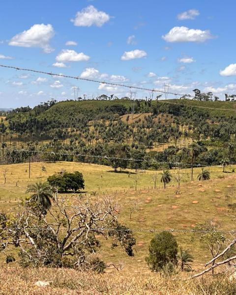 WhatsApp Image 2025-11-02 at 10