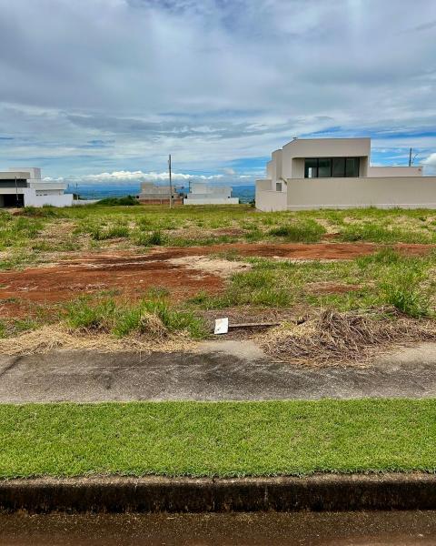 WhatsApp Image 2026-02-05 at 13