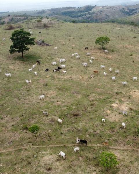 WhatsApp Image 2026-02-03 at 12